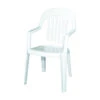 Adams® Adams 8254-48-3700 High-Back Chair, 22 In W, 23 In D, 36 In H, 250 Lb Capacity, Polypropylene Frame, White Frame(Adams 8254 48 3700 High Back Chair 22 In W 23 In D 36 In H 250 Lb Capacity Polypropylene Frame White Frame) -ShopKoopman Store 1566900