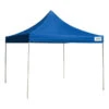 Seasonal Trends 21008100060 Caravan Canopy, 10 Ft L, 10 Ft W, 10.6 In H, Steel Frame, Polyester Canopy(Seasonal Trends 21008100060 Caravan Canopy 10 Ft L 10 Ft W 10 6 In H Steel Frame Polyester Canopy) -ShopKoopman Store 6830764